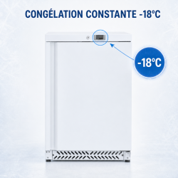 Mini Armário Refrigerado Negativo 170 L -18°C Branco