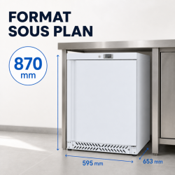 Mini Armário Refrigerado Negativo 170 L -18°C Branco