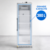 Armoire Refrigerada Positiva com Porta de Vidro 380 L 0/+8°C
