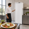 Armário Refrigerado Positivo 380 L 0/+8°C Porta Cheia