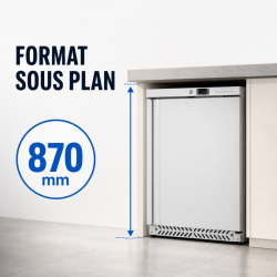Armadura Refrigerada Negativa Inox 170 L -18°C Sob Plano