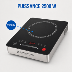 Placa de Indução Pro 2500 W — 80-240°C, Digital