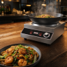 Wok Induction Pro 3500 W Stainless Steel — Concave Zone Ø227