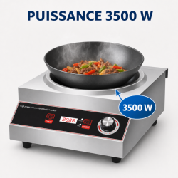 Wok de Indução Pro 3500 W Inox — Zona Côncava Ø227