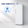 Armário Refrigerado Ventilado 306 L +2/+8 °C Porta Cheia