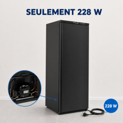Armoire Réfrigérée Positive 376 L Noire 0/+8 °C