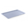 Rectangular Granite Pattern Tray GN 1/1 - 530 x 325 mm