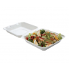 Lunch Box Bagasse 1 Compartment - Pack of 50