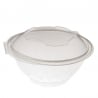 Set of 50 Medium Transparent Bowls with Lid - 75 cl