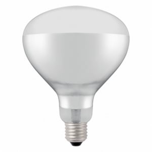 Bulb for infrared heat lamp - Brand HENDI - Fourniresto