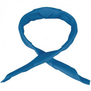Lenço Azul Royal 910 X 630 Mm - Vestuário de Chefes Brancos - Fourniresto