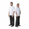 Casaco de Cozinha Branco de Mangas Curtas Boston - Tamanho XS - Whites Chefs Clothing - Fourniresto