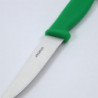 Vegetable Knife Green Blade 10 cm - Hygiplas - Fourniresto
