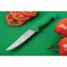 Faca de legumes verde lâmina 10 cm - Hygiplas - Fourniresto
