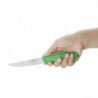Couteau À Légumes Vert Lame Dentée 10 Cm - Hygiplas - Fourniresto