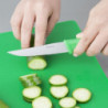 Faca de legumes verde com lâmina serrilhada de 10 cm - Hygiplas - Fourniresto