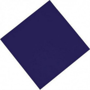 Guardanapo de Mesa de Papel Azul 2 Dobras 300 x 300 mm - Pacote de 1500 - FourniResto - Fourniresto