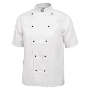 Unisex Chicago Short Sleeve White Kitchen Jacket Size M - Whites Chefs Clothing - Fourniresto