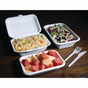 Compostable 180mm Bagasse Trays - Pack of 50 - Fiesta Green