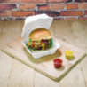 Caixas de hambúrguer compostáveis de bagaço - Conjunto de 500 - Vegware