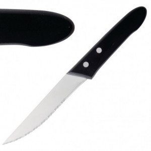 Steak Knife - 250mm - Set of 12 - DEGLON