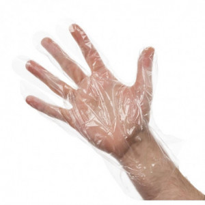 Transparent Disposable Gloves - Pack of 100 - FourniResto