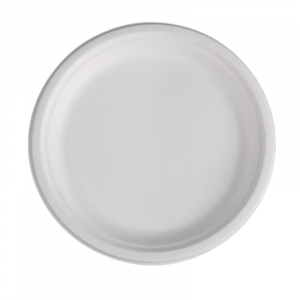 Round Bagasse Plate - 261 x 20.6 mm - Pack of 50
