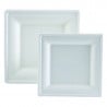 Square Bagasse Plate - 200 x 200 mm - Pack of 50