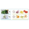 Combinado Cutter e Cortador de legumes robot coupe R 201 XL
