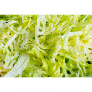 Disco de Ralar 3 mm para Cortador de Legumes Elétrico - Dynamic