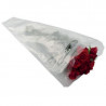 Conical Flower Bag in HDPE - 595 x 340 mm - Pack of 1000