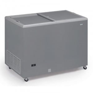 Professional Stainless Steel Chest Freezer with Opaque Lid - 300 L