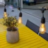 Guirlanda luminosa com lâmpada de filamento - Mafy Light - Lumisky