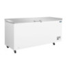 Chest Freezer with Stainless Steel Lid - 581 L - Polar