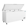 Chest Freezer with Stainless Steel Lid - 581 L - Polar