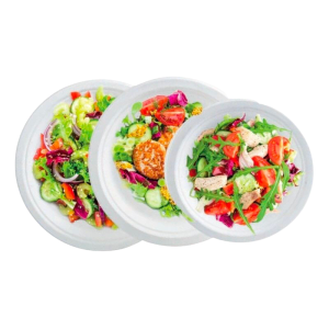Round Bagasse Plate - 230 x 20.6 mm - Pack of 50