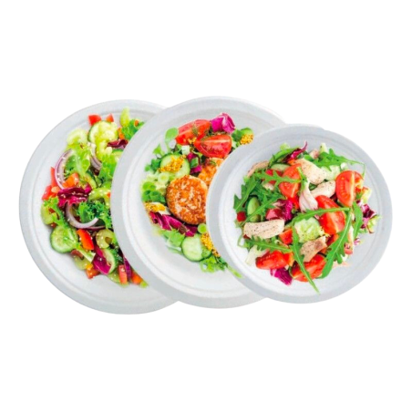 Assiette Ronde en Bagasse - 230 x 20,6 mm - Lot de 50