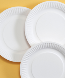 Disposable Plates and Trays