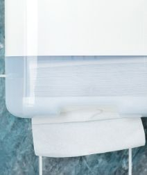Paper towel dispenser