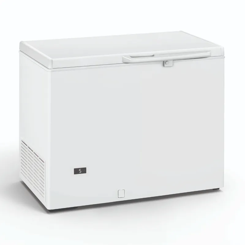 Congelador Horizontal Profissional - 290 L