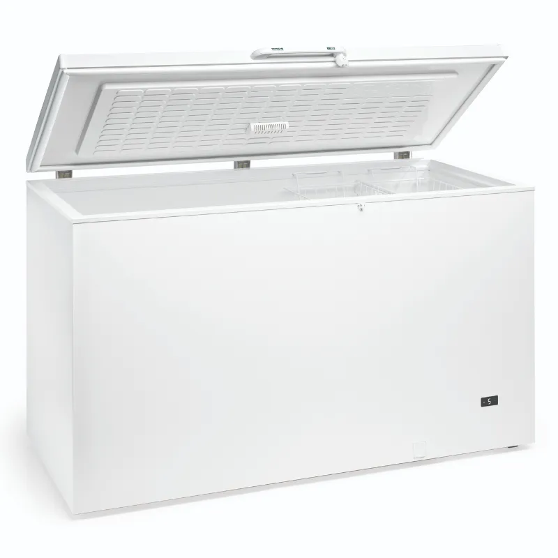 Congelador Horizontal Profissional - 700 L
