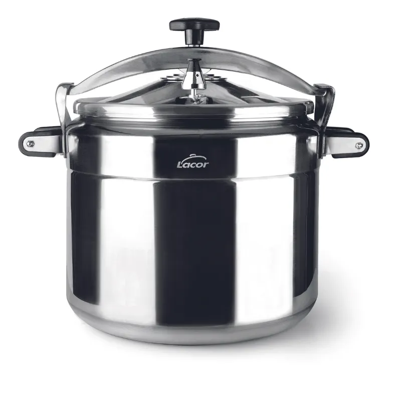 Panela de Pressão Pro-Classic - 11 L