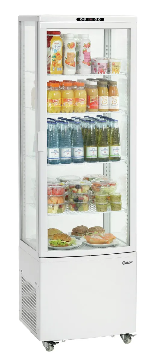 Vitrina Refrigerada Profissional - 235 L