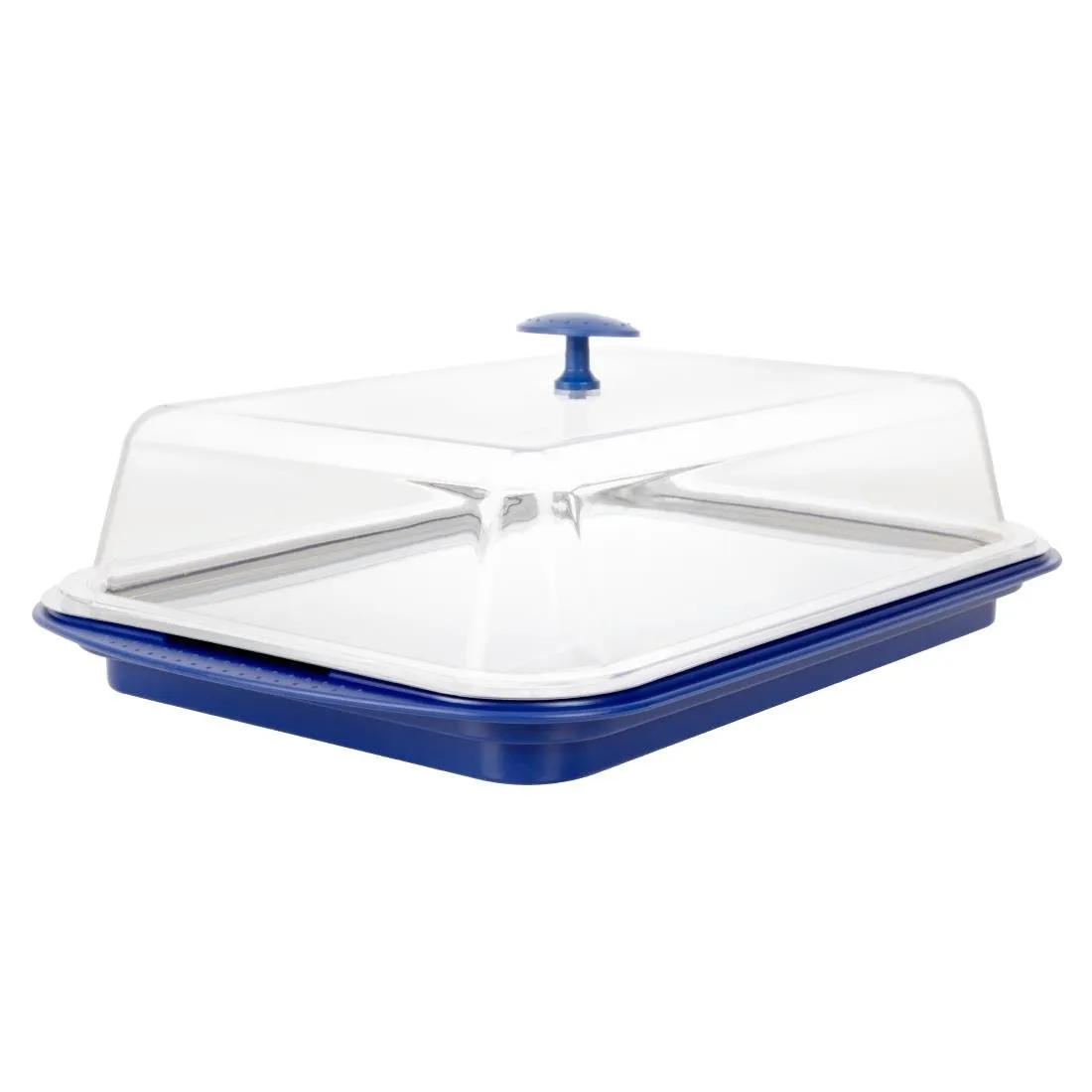 Tabuleiro de apresentação refrigerado e tampa
