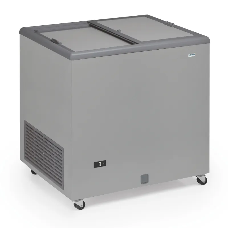 Congelador Baú Profissional Aspecto Inox e Tampa Opaca - 220 L
