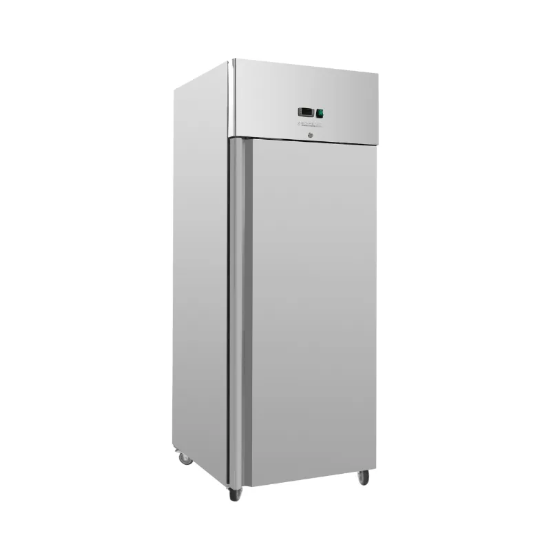 Armário de Congelação 650 L em Aço Inox GN 2/1, Frio Ventilado -18/-22 °C, 1 Porta Cega, 520 W